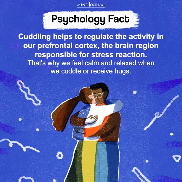 Cuddling helps to regulate the activity in our prefrontal cortex