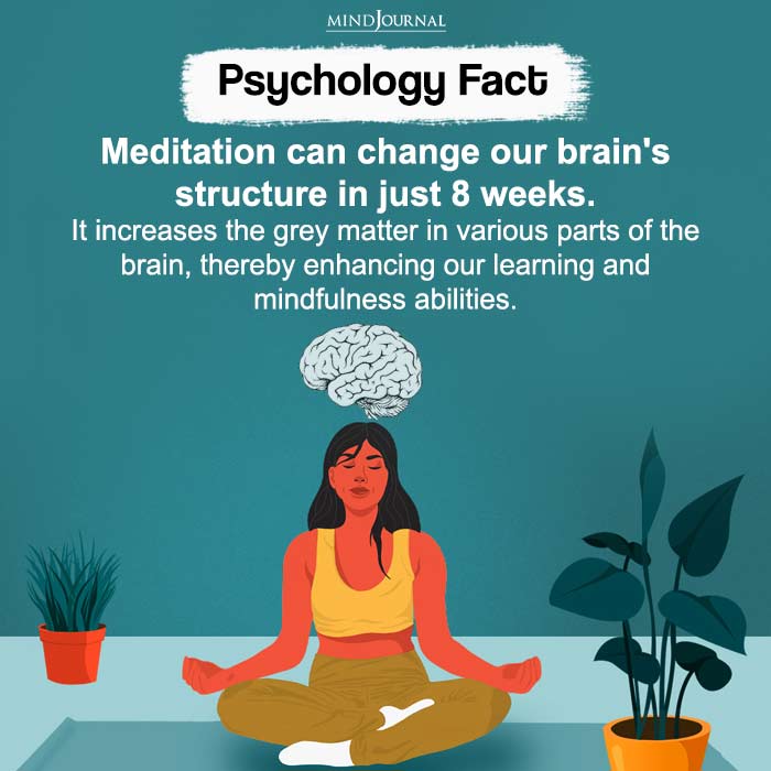 Meditation can change our brain's structure