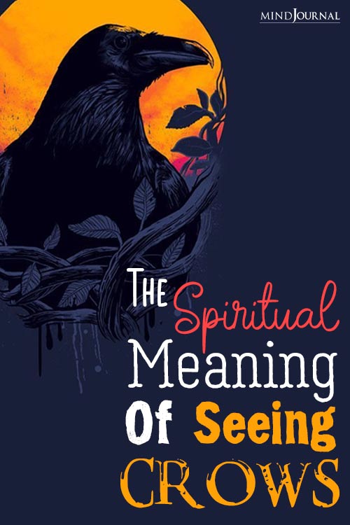Spiritual Meaning Of Seeing Crows pin
