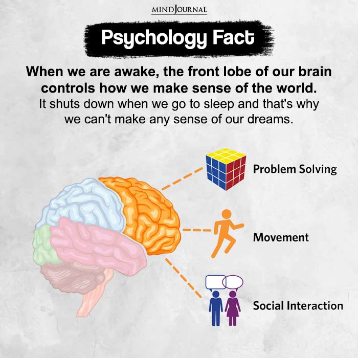 When we are awake the front lobe of our brain controls