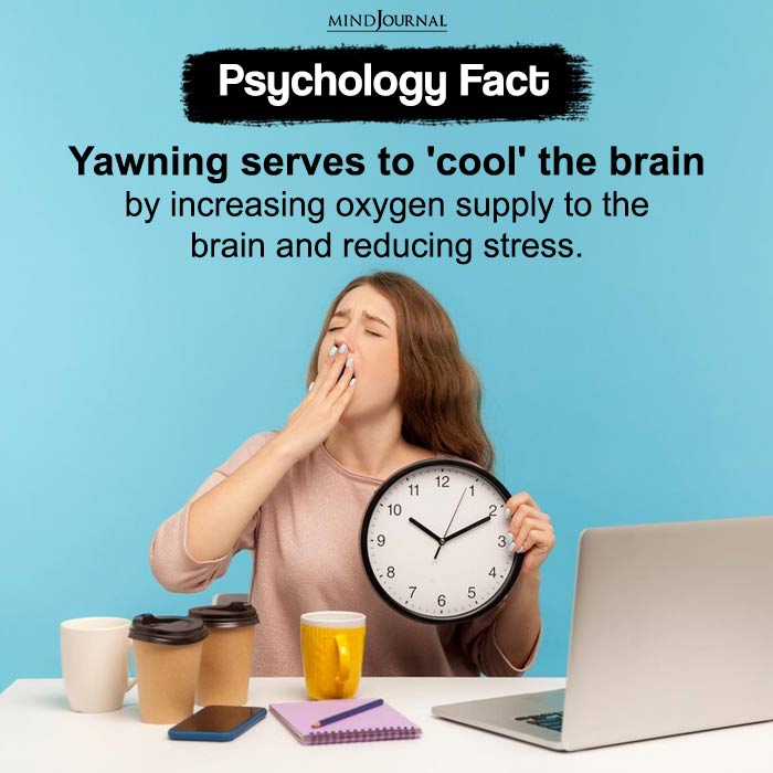 Yawning serves to cool the brain by increasing oxygen supply