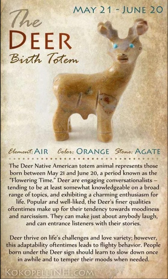 12 Native American Totems Reveal Your Personality Secrets