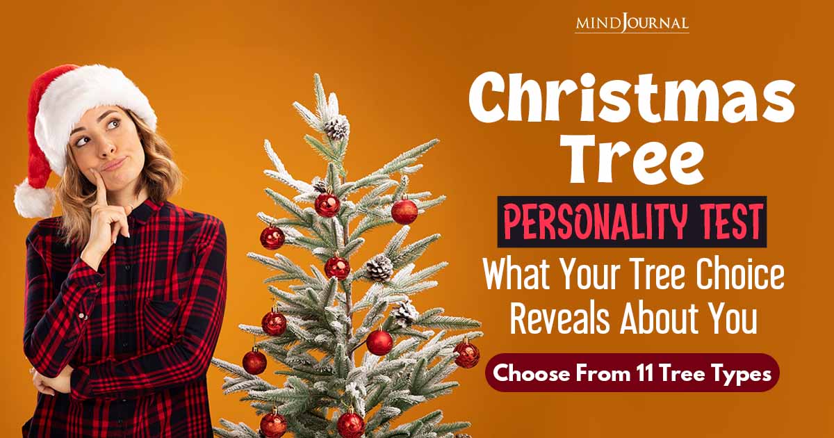 Christmas Tree Personality: Christmas Trees To Choose From