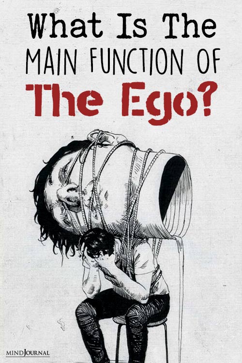 What Is The Main Function Of The Ego pin