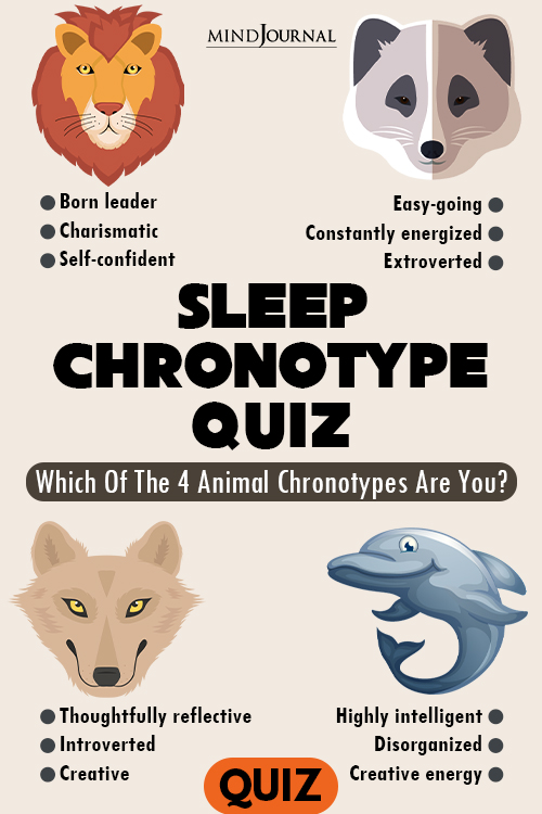 Bear Dolphin Wolf Or Lion Animal Chronotypes quiz pin