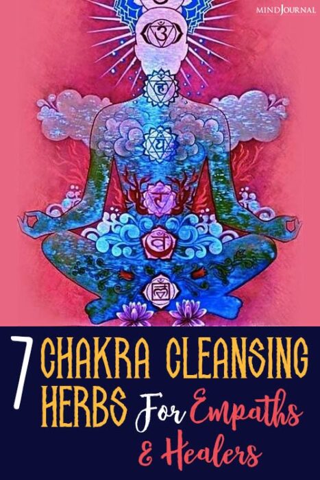 Chakra Cleansing Herbs For Empaths and Healers pinex
