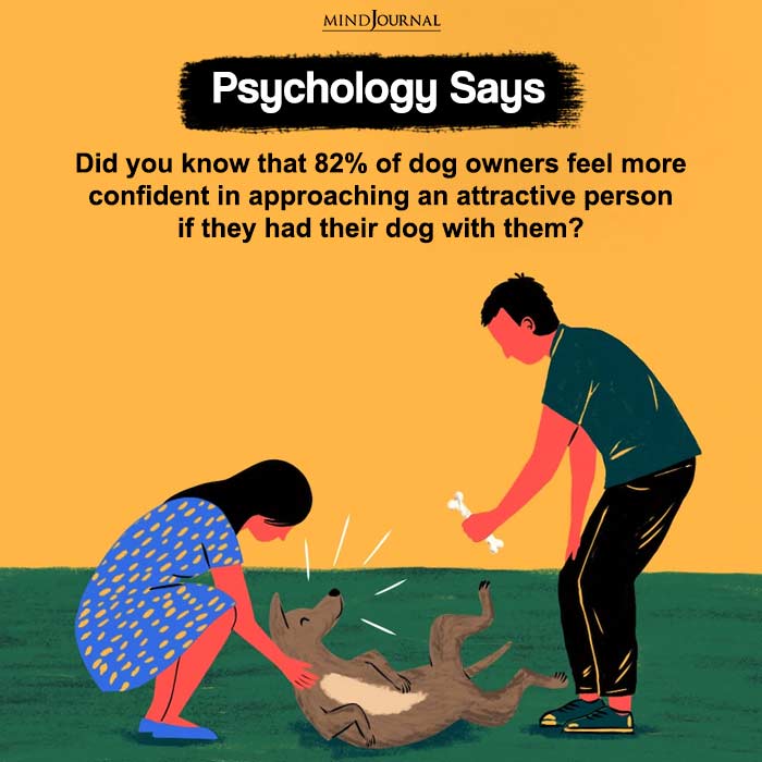 Did you know that 82 of dog owners feel more confident