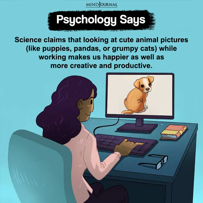 Science Claims That Looking At Cute Animal Pictures