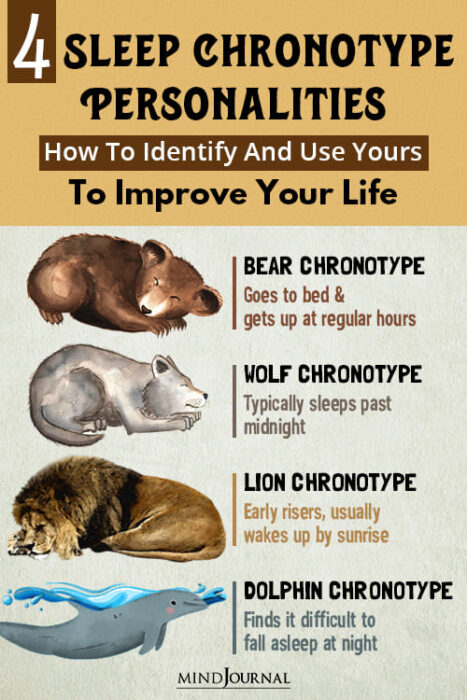 Sleep Chronotype Personalities How To Identify and Use Yours To Grow pin