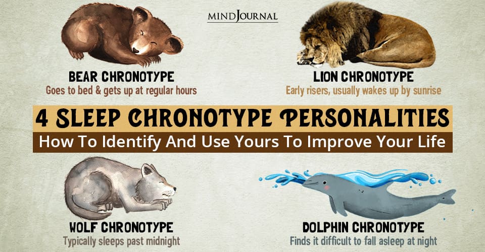 4 Sleep Chronotype Personalities And How You Can Utilize Them To Improve Your Life