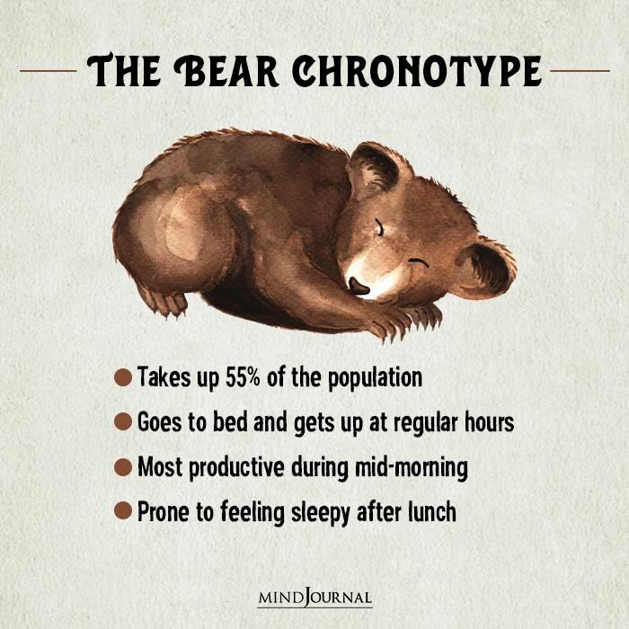 The Bear Chronotype