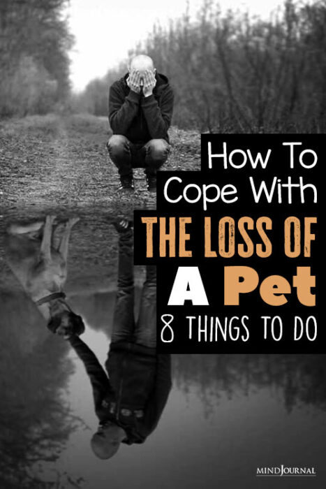 Things To Do If Grieving Loss Of A Pet pin