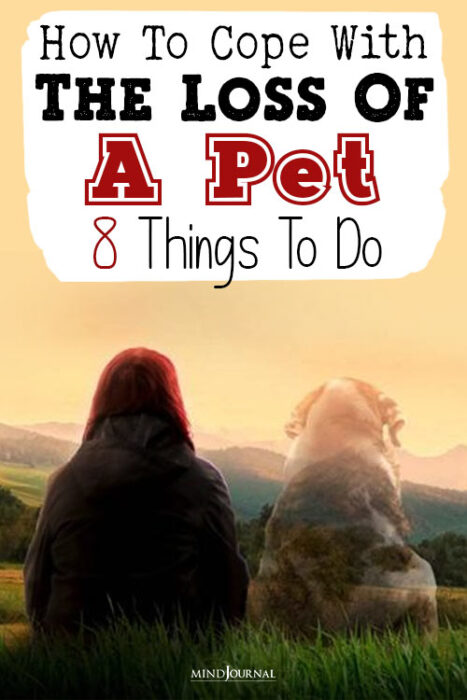 Things To Do If Grieving Loss Of Pet