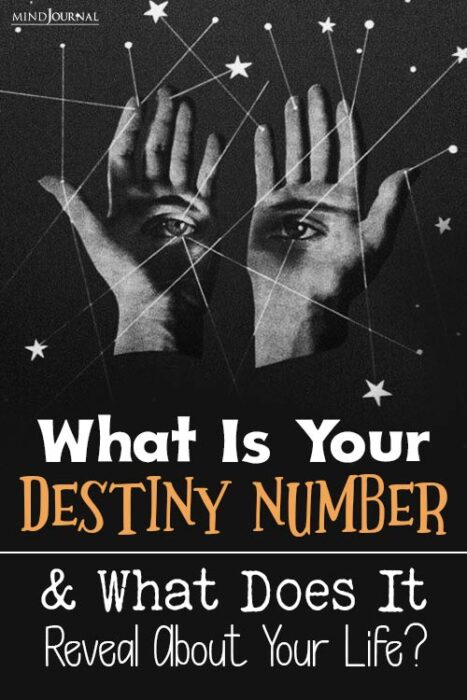 What Is Your Destiny Number pin