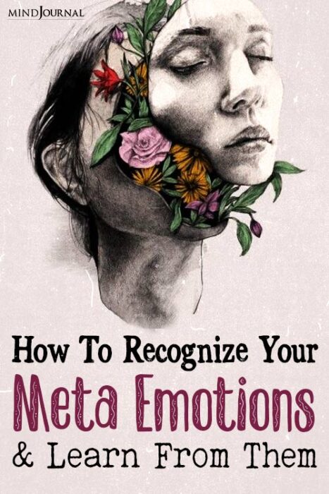 What are meta emotions pinex