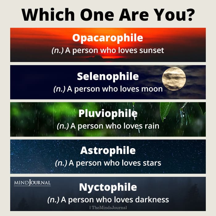 Which One Are You