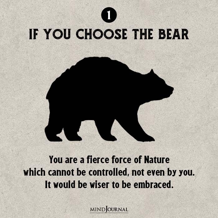 shadow self test - If you choose the bear