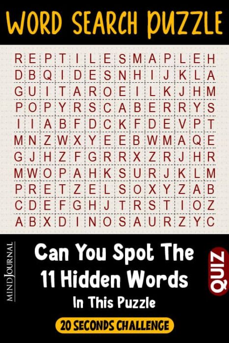 Word Search Puzzle Challenge Your Skills pin