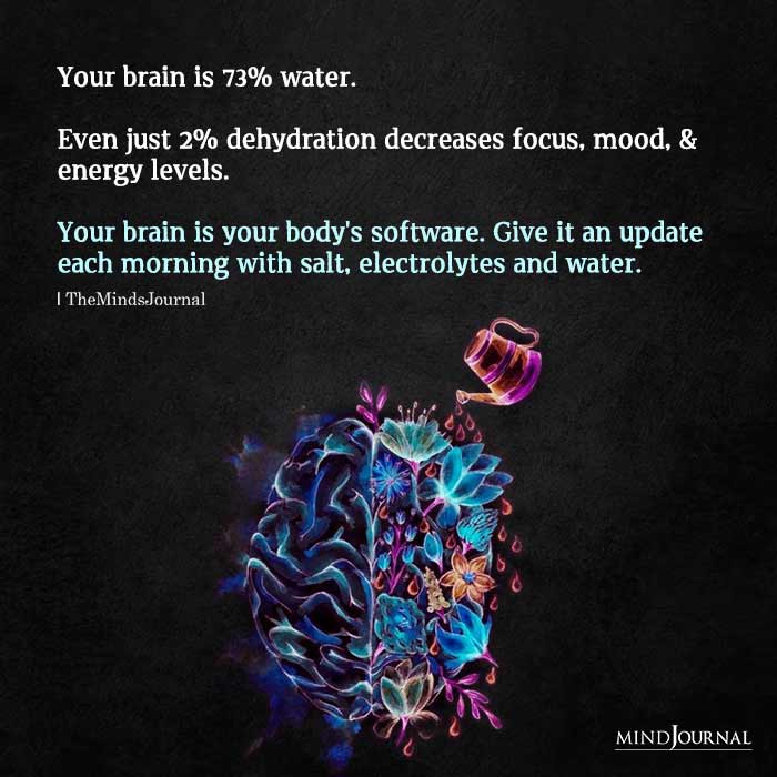 Your Brain Is Water
