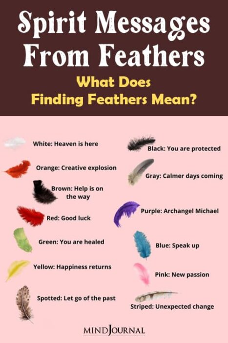 Purple Feather Meaning and Symbolism - Color Meanings