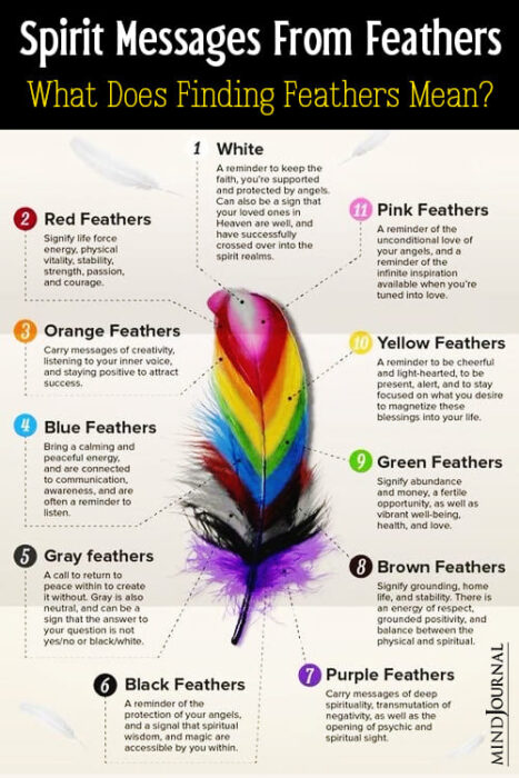 finding feathers meaning
