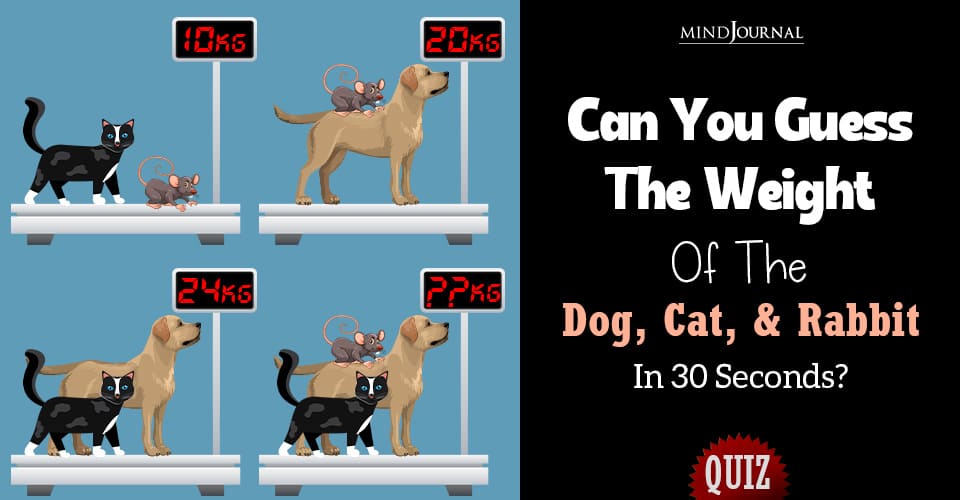 Guess The Weight Of Dog Cat And Rabbit In Seconds Fun Quiz