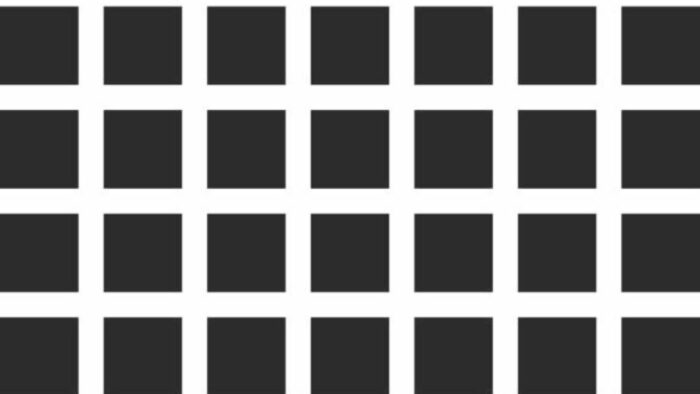 The Hermann Grid Illusion has been curated for testing perception