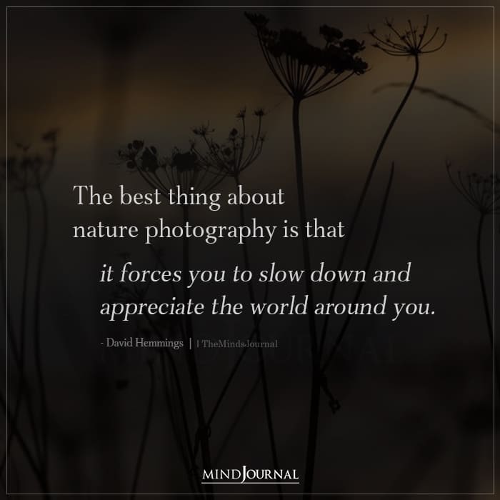 The best thing about nature photography