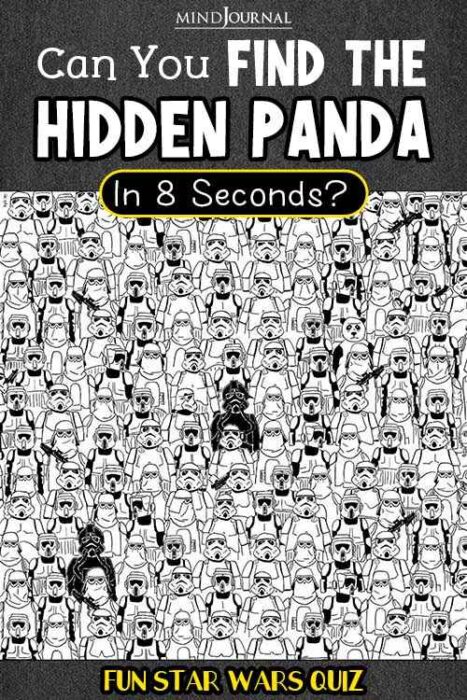 spot the hidden panda