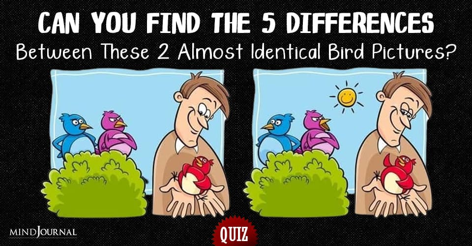 Find The Difference Between These 2 Identical Bird Pictures