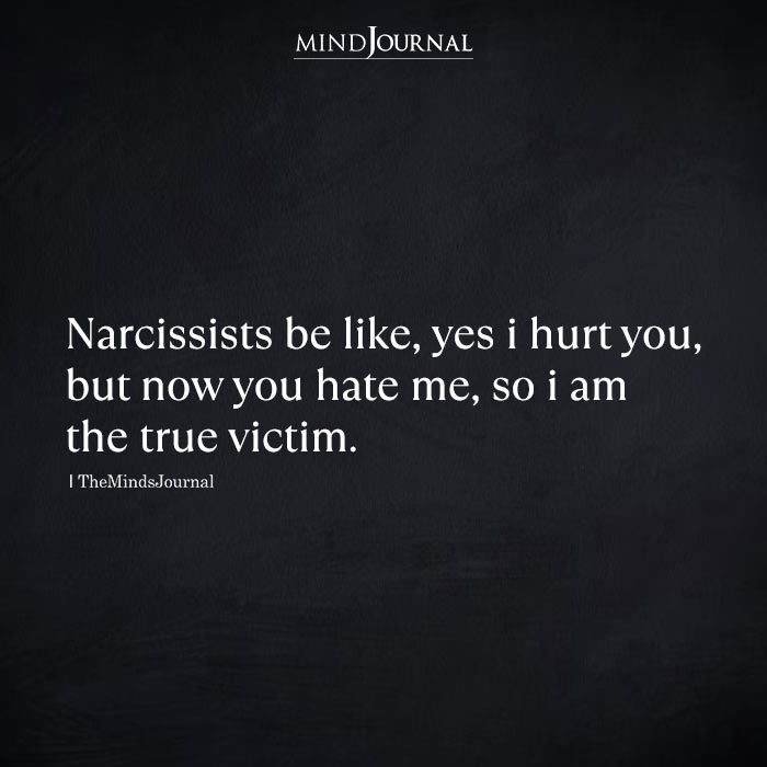 Narcissists Be Like, Yes I Hurt You