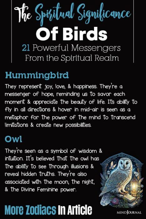 hummingbird spiritual meaning
