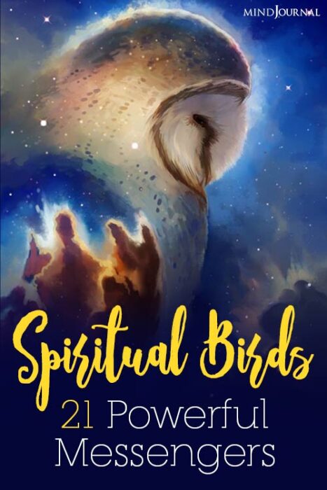 blue jay spiritual meaning
