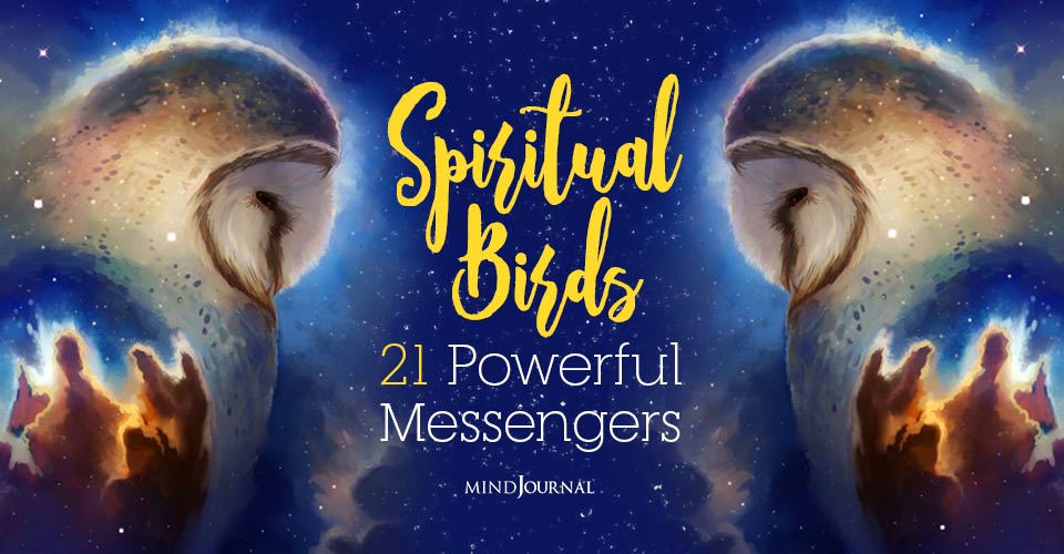 Birds Spiritual Meaning: 21 Powerful Messengers From The Spiritual Realm