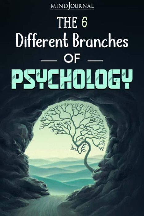 different branches of psychology