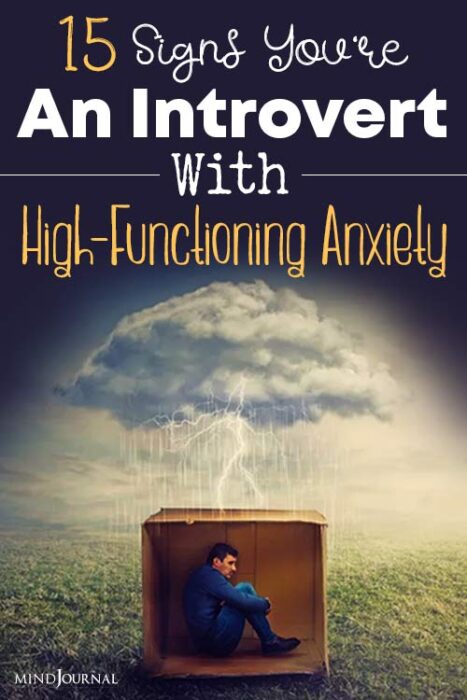 signs of a high functioning introvert
