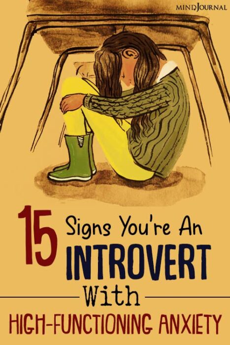 high functioning introvert