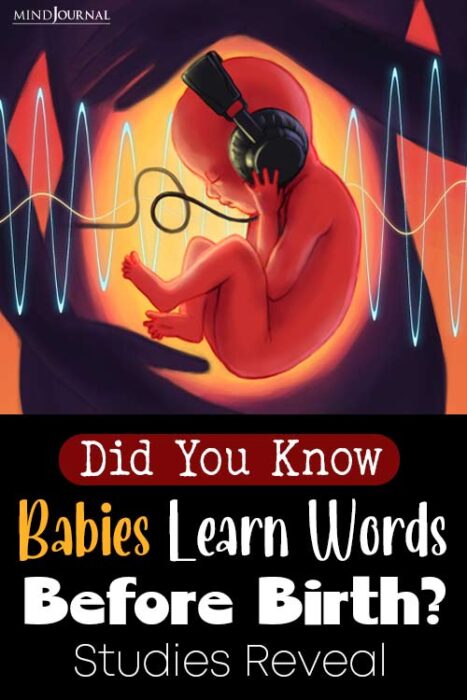 babies start learning language in the womb

