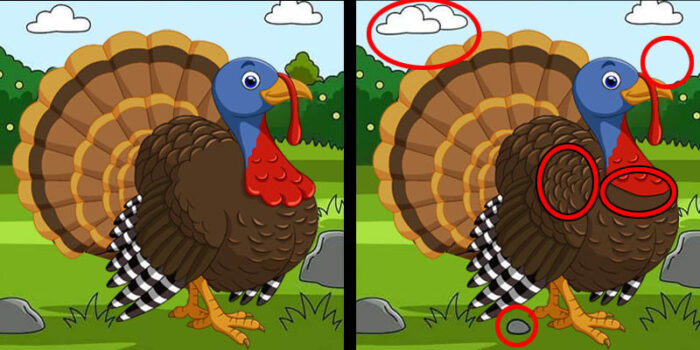 Spot The Differences Between Two Pictures of Turkey answer