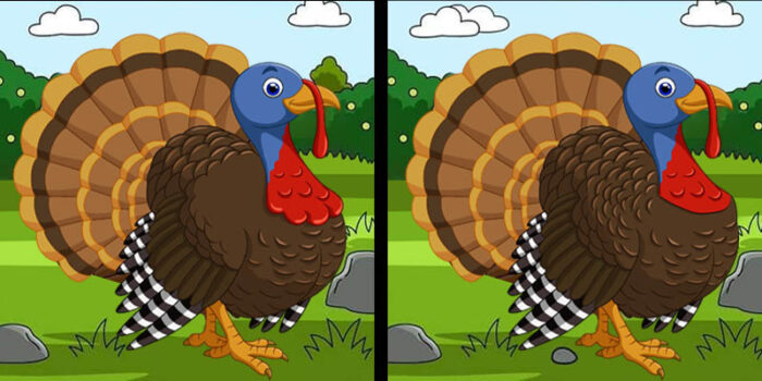 Spot The Differences Between Two Pictures of Turkey internal