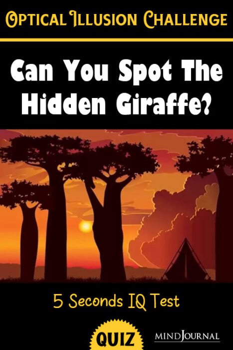 spot the giraffe