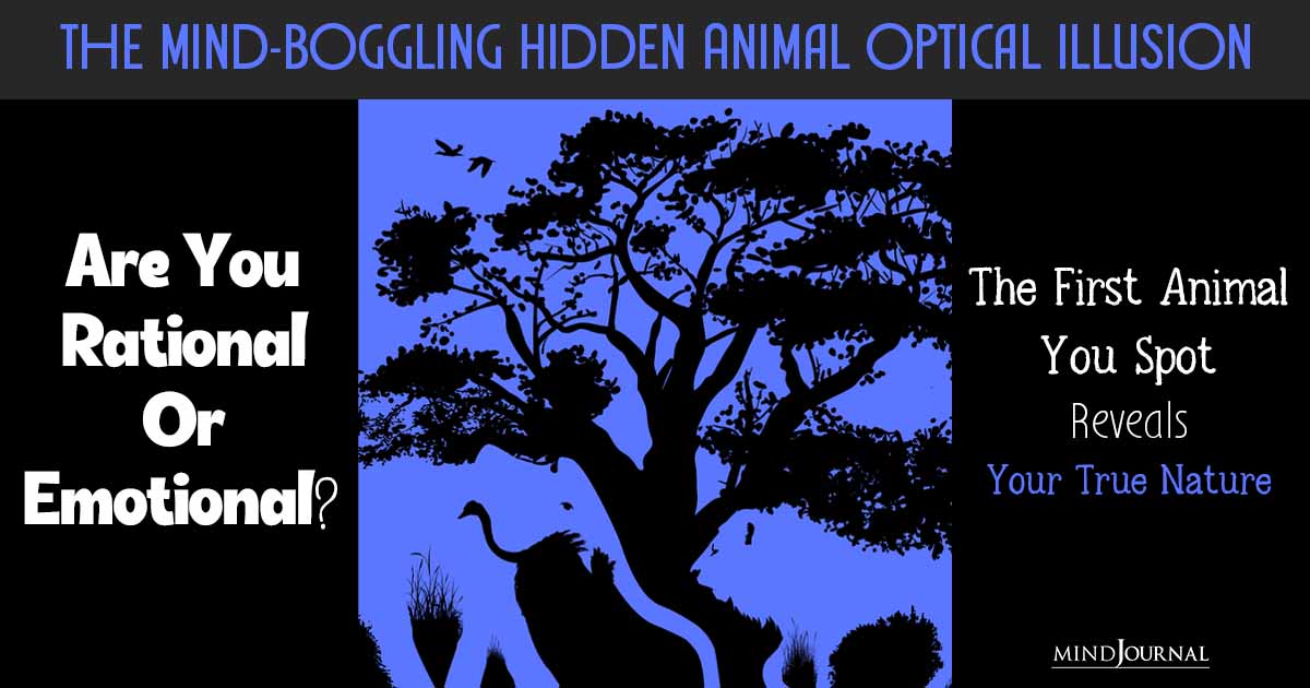 4 Hidden Animal Illusions Fun Test: Rational Or Emotional?