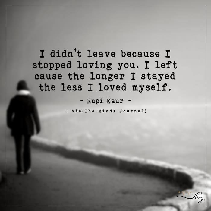I Didn't Leave Because I Stopped Loving You