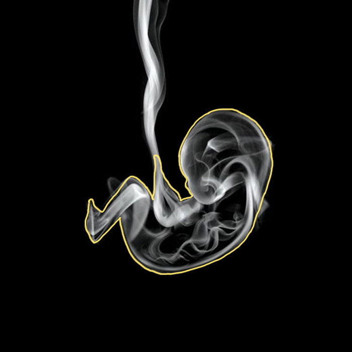 Smoke Or Fetus Optical Illusion answer one