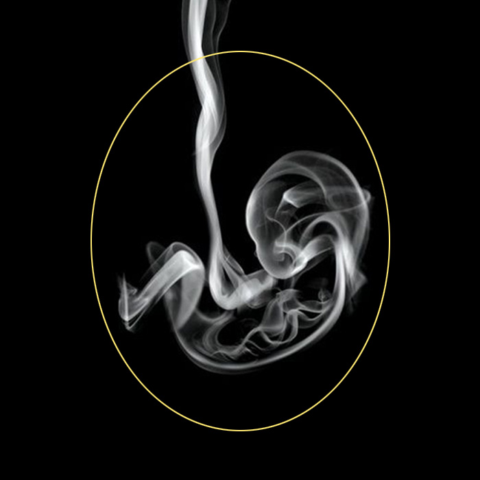 Smoke Or Fetus Optical Illusion answer two