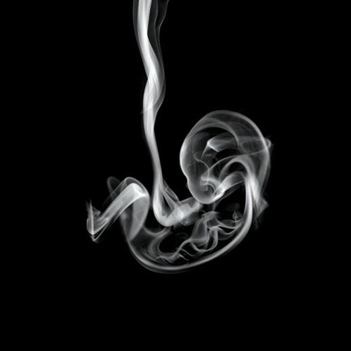 Smoke Or Fetus Optical Illusion internal