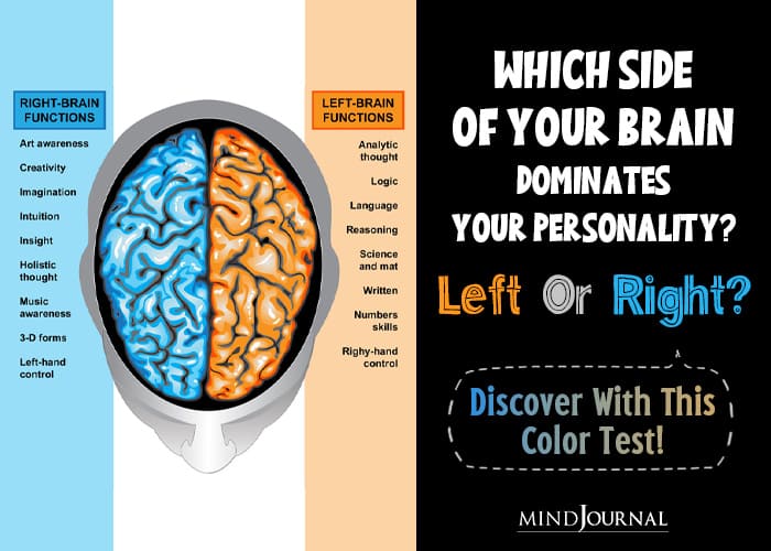 Which Side Of Your Brain Is Dominant