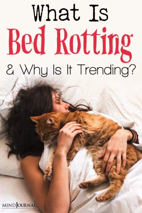 bed rotting meaning