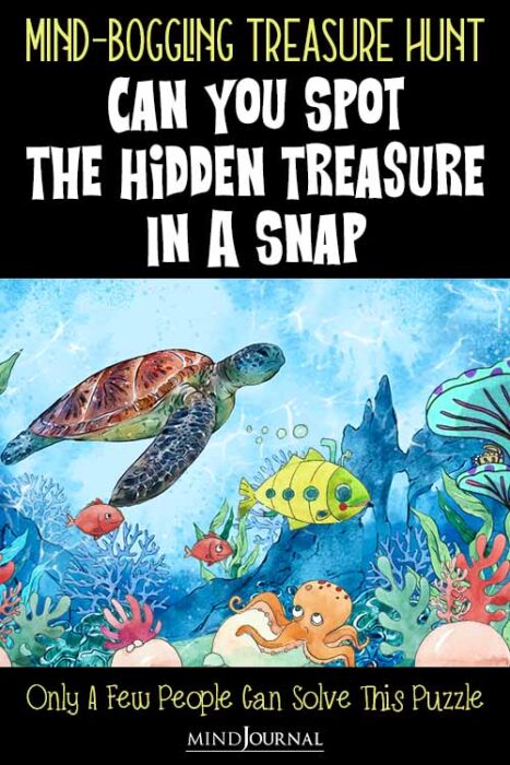 find the hidden treasure

