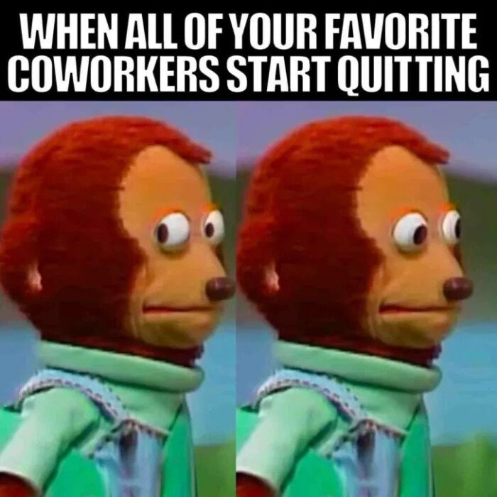 Coworker memes